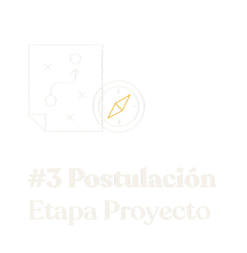 3 VIN proceso