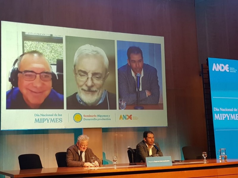 3_panel_de_expertos_internacionales_7
