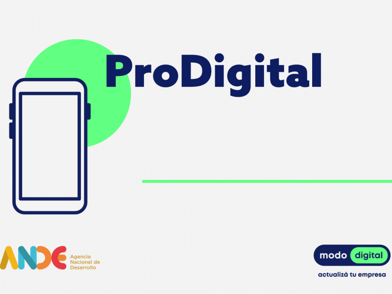 5_ProDigital_posteo_rectangular