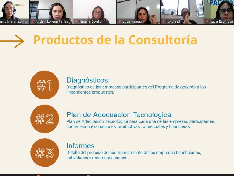 5_productos_consultoria