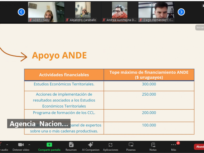7_apoyos_ANDE