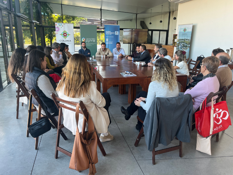 ANDE_gira_institucional_Colonia_1