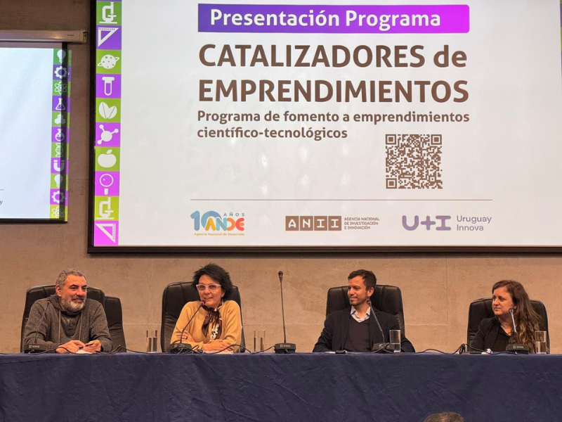 Catalizadores_de_Emprendimientos_ANDE_-_ANII_1_1