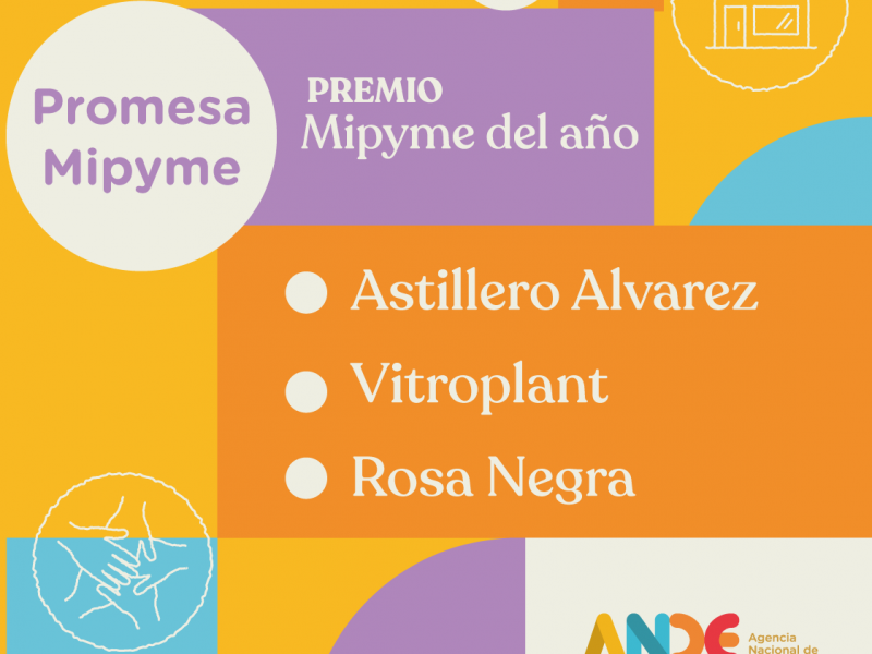Promesa-Mipyme